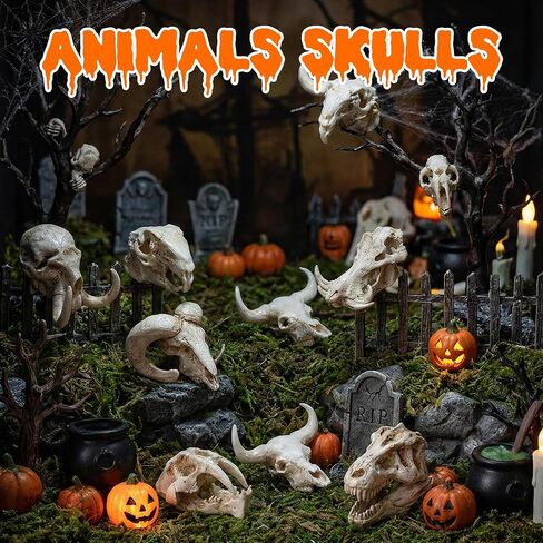 Exasinine 16 Pcs Mini Resin Animal Skull Heads Figurines 1.5 Inch Mini Skulls Figurines Highly Detailed Miniature Animal Skull for Halloween Crafts Gothic Decor Terrarium Micro Landscape Decor in Saudi Arabia