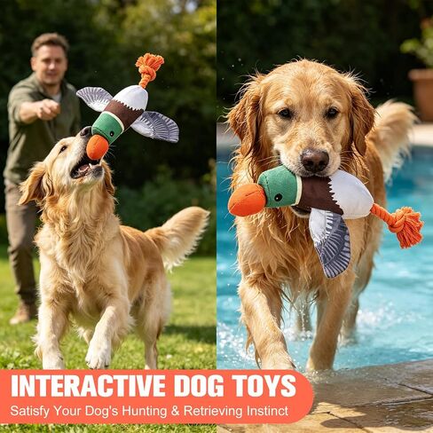 قاذفة لعبة Duck Duck Duck Duck - لعبة جلب عائمة للكلاب ، Throuctive Chew Toy Thow Tharrowh ، متعة في الهواء الطلق للسلالات الصغيرة المتوسطة الكبيرة وليس للحيوانات الأليفة العدوانية in Kuwait