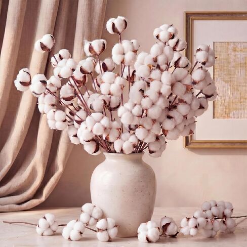 Suncalla 24 Pcs Natural Cotton Stems with 45 Bolls, 16" Clean Dried Cotton Branches 3 Form Assortment, Airy Farmhouse Decor Floral Arrangement Vase Filler for Summer Home Wedding Countertop in Kuwait