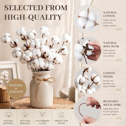 Suncalla 24 Pcs Natural Cotton Stems with 45 Bolls, 16" Clean Dried Cotton Branches 3 Form Assortment, Airy Farmhouse Decor Floral Arrangement Vase Filler for Summer Home Wedding Countertop in Kuwait