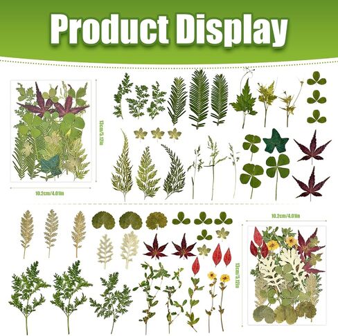 110+ Pcs Dried Flowers Leaves for Crafts, Real Pressed Flowers Dry Leaves for Resin Scrapbooking DIY Art Crafts Epoxy Resin Jewelry Mold Candle Soap Making Nails Décor in Saudi Arabia