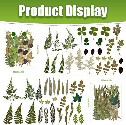 110+ Pcs Dried Flowers Leaves for Crafts, Real Pressed Flowers Dry Leaves for Resin Scrapbooking DIY Art Crafts Epoxy Resin Jewelry Mold Candle Soap Making Nails Décor in Saudi Arabia
