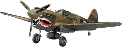 1/48 P-40e Warhawk in Kuwait