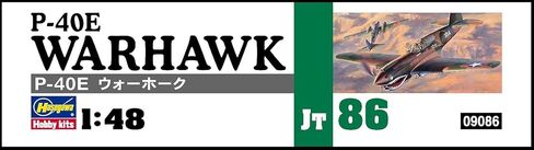 1/48 P-40e Warhawk in Kuwait