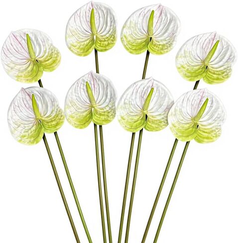 8pcs Burgundy Anthurium Artificial Flowers Lifelike Fake Flowers 5.5" Head for Table Centerpieces Bridal Wedding Festival Christmas Hotel Home Floral Decor (Burgundy) in Kuwait