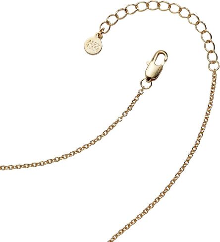 Alex and Ani Camping Tent Necklace | Opening Tent Locket Charm | Summer Camp Jewelry | Shiny Gold, Brass | Camp Counselor Gift in Kuwait