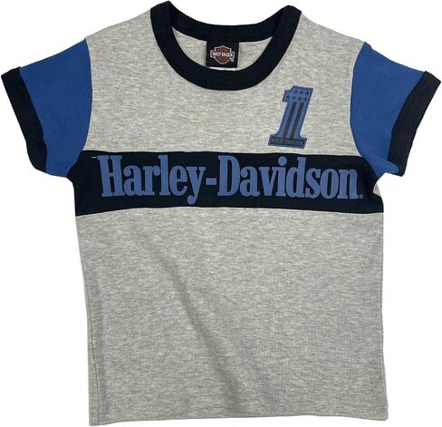Harley-Davidson Little Boys' Colorblocked Short Sleeve Knit Toddler Tee - Gray in Kuwait