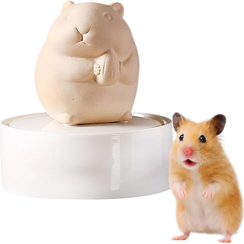 Ceramic Hamster Cremation Ash Keepsake Memorial Urn,Pet Loss Remembrance Urn for Hamster, Small Animal Ashes and Fur Storage Container (Beige, Medium, Seed) in Saudi Arabia