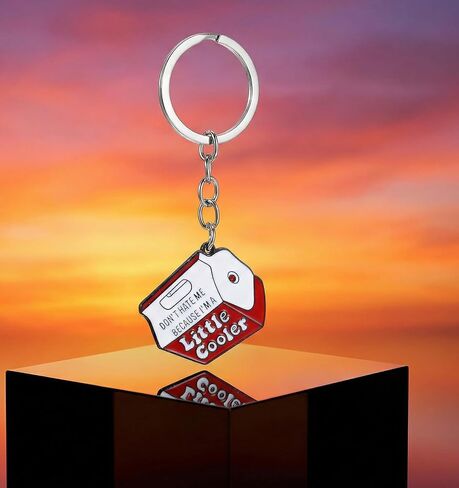 2 Pcs Keychain Cool, Metal Enamel Novelty Keychains for Women&Men, Cool Unique KeyChains for Keys, Backpack, Purse Accessory in Saudi Arabia
