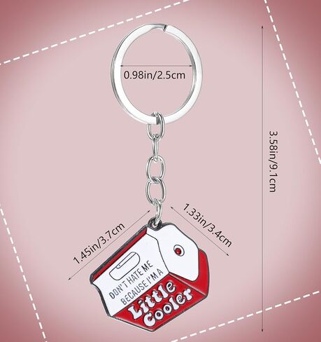 2 Pcs Keychain Cool, Metal Enamel Novelty Keychains for Women&Men, Cool Unique KeyChains for Keys, Backpack, Purse Accessory in Saudi Arabia