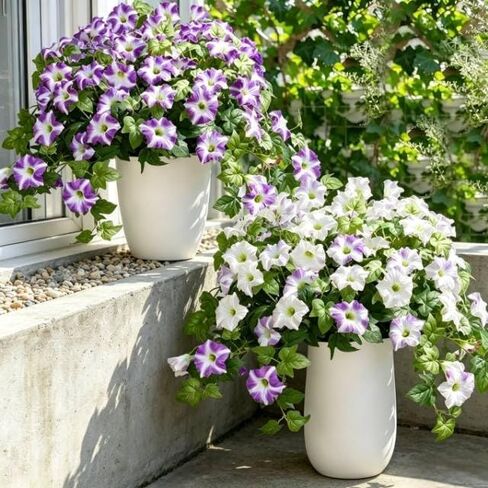 2-Pcs Petunias Artificial Flowers UV Resistant Realistic Faux Silk Artificial Fake Flowers Plants Decorations for the indoor courtyard porch and balcony Faux Petunias Silk Flower(Purple White) in Saudi Arabia