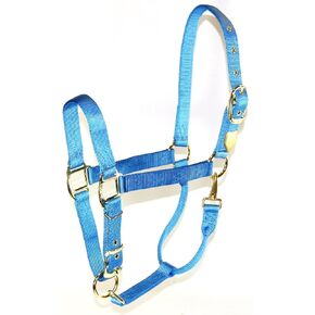 Hamilton, 1" Halter with Adjustable Chin - Berry Blue, 800-1100lbs