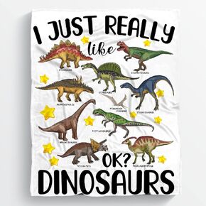 I Just Really Like Dinosaurs Baby Blanket Gifts for Girls Boys, Jurassic Dino Decor Plush Soft Lightweight Flannel Fleece Swaddle Blanket for Newborn Receiving Blanket for Nursery Stroller Kids