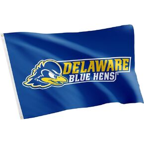 Desert Cactus University of Delaware Flag Fightin Blue Hens UD Flags Banners 100% Polyester Indoor Outdoor 3x5 (Style 1)