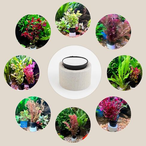 YOLUFER Aquatic Plants Fixed Set 10pcs Aquarium Plant Weights Pot and 10pcs Planting Cup with 10pcs Fixing Cottons Aquarium Accessories (30) in Saudi Arabia