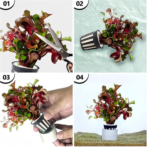 YOLUFER Aquatic Plants Fixed Set 10pcs Aquarium Plant Weights Pot and 10pcs Planting Cup with 10pcs Fixing Cottons Aquarium Accessories (30) in Saudi Arabia