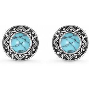 Vintage Turquoise Stud Earrings for Women Western Boho Jewelry Feather Earrings for Her in Kuwait
