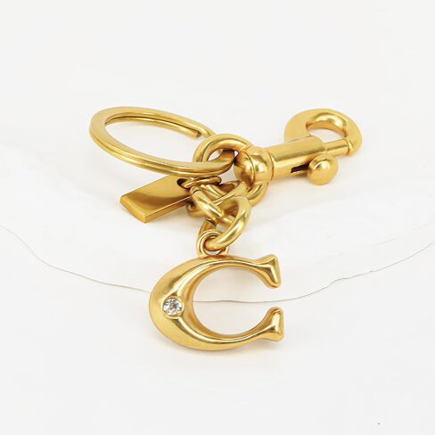 Bag Chain Charm, KeyChain & Charms Wallet Chain Charm, Bag Extender Chain & Jeans Chain in Saudi Arabia