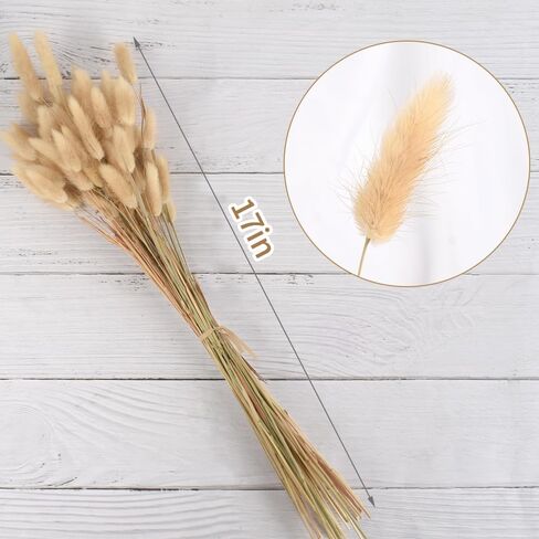 Dried Bunny Tails 60pcs Dried Rabbit Tail Grass 17" Dry Natural Plant for Home, Wedding, Party Decoration in Saudi Arabia