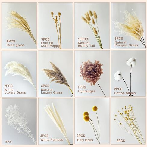 Natural Pampas Grass Bouquet -Cotton Stems,Bunny Tails ,Hydrangea,Fall Dried Flower - Boho Chic Home Decor, Rustic Wedding Centerpiece, Farmhouse Style Arrangement, Room Decor Long-Lasting Gift (A) in Kuwait