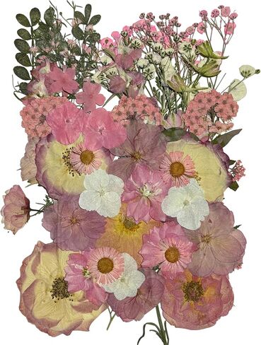 48 Pieces of 3 Natural Dried Edible Flowers for Cake Decoration - Pink Mixed Cherry Blossoms, Cherry Blossoms for Paper Cupcake Decoration, Cocktails, Resin Jewelry, DIY Crafts in Kuwait