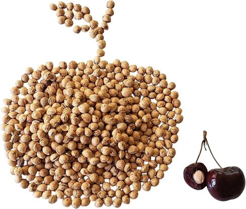 Natural Cherry Pits/Stones for Crafts, DIY Microwavable Heating Pads, Garden Projects, Heat Dried, Bulk 1 lb in Saudi Arabia