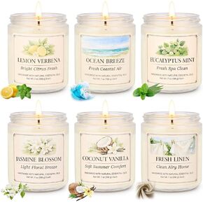 YINUO LIGHT 6 Pack Scented Candles Gift Set, 42 oz Soy Wax Glass Jar Candles for Home, Up to 300 Hour Burn, Aromatherapy Candle Set, Birthday Housewarming Gifts for Women Mom in Saudi Arabia