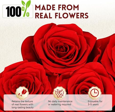 27 Forever Preserved Roses in a Box, Forever Gift for Women, Flowers in a Luxury Suede Container, Birthday Preserved Flowers for Mom, Mothers Day Red Rose Box in Saudi Arabia