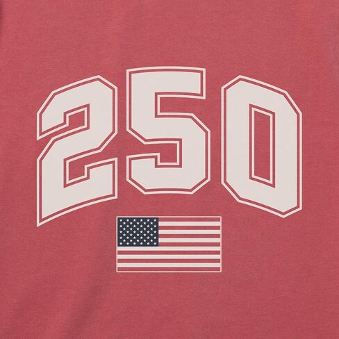 Life is Good. Men's Bert's 250 Flag Short Sleeve Crusher Tee, Faded Red in Kuwait