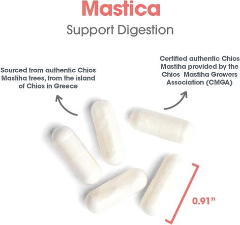 Allergy Research Group ARG Mastica Digestive Support - Supports Digestive Comfort - Delivers 1000 mg Chios Mastic Gum Resin per Serving - Vegetarian & Hypoallergenic - 30 Servings - 60 Capsules in Saudi Arabia