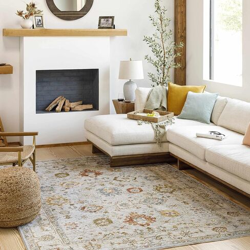 Hauteloom Kronborg Hallway, Kitchen Runner Rug - Floral Medallion Border Distressed Geometric - Traditional Oushak Oriental Turkish Transitional - Light Gray, Cream, Denim, Gray, Beige - 2'7" x 7'3" in Saudi Arabia