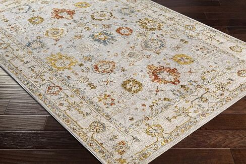 Hauteloom Kronborg Hallway, Kitchen Runner Rug - Floral Medallion Border Distressed Geometric - Traditional Oushak Oriental Turkish Transitional - Light Gray, Cream, Denim, Gray, Beige - 2'7" x 7'3" in Saudi Arabia