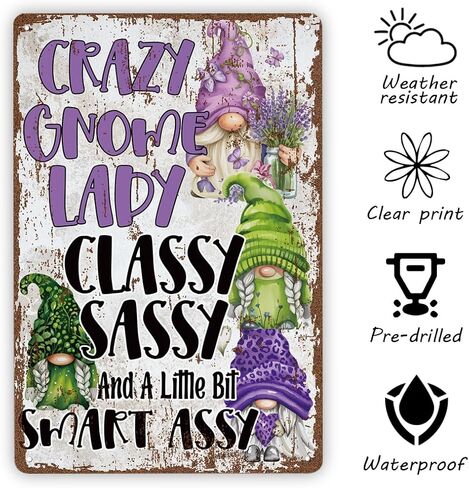Funny Vintage Metal Tin Signs, Crazy Gnome Lady Sign, Funny Gnome Sign, Garden gnomes Decor, Coworker Gifts, Christmas Gift, Christmas Dwarf, Housewarming Gift, Gift for Her in Saudi Arabia