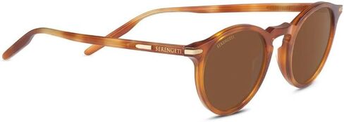 Serengeti in Kuwait