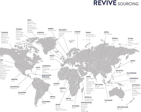Lemon Eucalyptus Essential Oil 30mL by Revive Essential Oils - 100% Pure Therapeutic Grade, for Diffuser, Humidifier, Massage, Aromatherapy, Skin & Hair Care in Kuwait