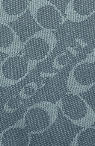 COACH Bias Signature C Oblong Scarf in Kuwait