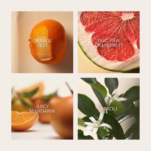 NEST New York Seville Orange Perfume Oil (Full Size) - 30 mL - Vegan & Cruelty Free in Saudi Arabia