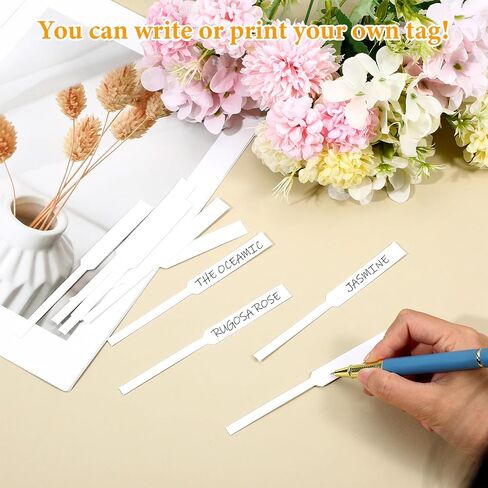 2000 PCS Premium Scent Strips for Perfume Testing - Fragrance Tester Strips, Strong Absorbent White Blotter Paper for Essential Oils, Aromatherapy & Spice Evaluation in Kuwait