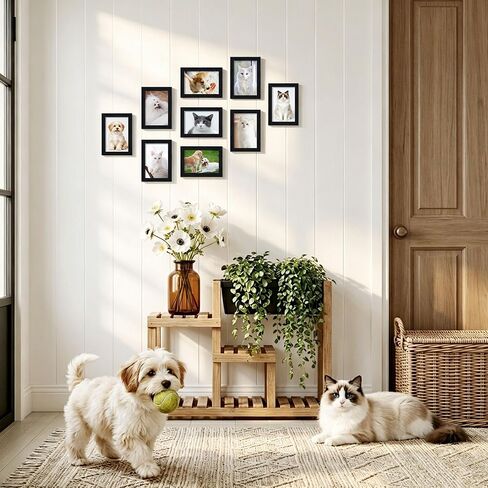 Wiscet 4x6 Picture Frame Set of 30, Bulk Photo Frames for 4x6 Photos, Multi Picture Frames for Wall or Tabletop, Black Woodgrain in Saudi Arabia