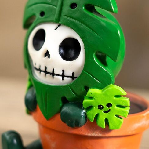 هدية المحيط الهادئ Monsty D Furrybones Monstera Deliciosa تمثال هيكل عظمي نباتي، تمثال راتينج لطيف على شكل جمجمة قوطية قابل للتجميع في وعاء تيراكوتا، لمحبي النباتات وفكرة هدية قوطية 3.2 بوصة ارتفاع in Kuwait