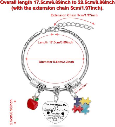 Special Education Teacher Appreciation Gifts for Women Friends Stainless Steel Bracelet Thank You Gift for Autism Teacher Appreciation Week Gift Special Education Teachers Gifts Christmas Birthday in Kuwait