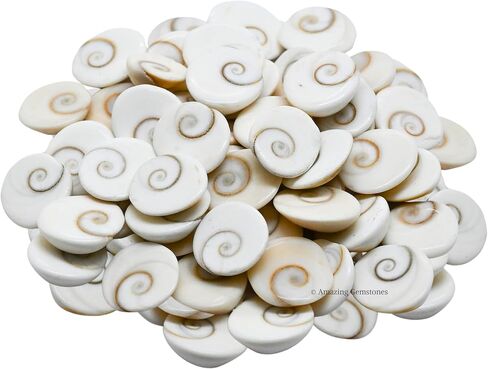 Gomati Chakra Stones Original – 11 Pieces Natural Gomti Chakra from Dwarka River | Vastu Remedies, Wealth Attraction, Good Luck & Spiritual Use (12-15 mm) in Saudi Arabia