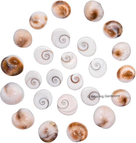 Gomati Chakra Stones Original – 11 Pieces Natural Gomti Chakra from Dwarka River | Vastu Remedies, Wealth Attraction, Good Luck & Spiritual Use (12-15 mm) in Saudi Arabia