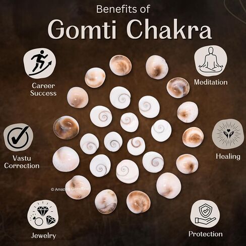 Gomati Chakra Stones Original – 11 Pieces Natural Gomti Chakra from Dwarka River | Vastu Remedies, Wealth Attraction, Good Luck & Spiritual Use (12-15 mm) in Saudi Arabia