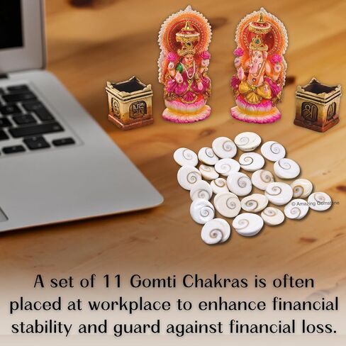 Gomati Chakra Stones Original – 11 Pieces Natural Gomti Chakra from Dwarka River | Vastu Remedies, Wealth Attraction, Good Luck & Spiritual Use (12-15 mm) in Saudi Arabia