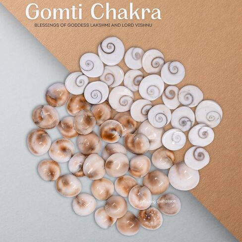 Gomati Chakra Stones Original – 11 Pieces Natural Gomti Chakra from Dwarka River | Vastu Remedies, Wealth Attraction, Good Luck & Spiritual Use (12-15 mm) in Saudi Arabia