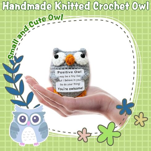 Mini Owl Handmade Crochet Doll Birthday Gift for Good Friends, Suitable for Cute Inspirational Gifts for Friends, Family and Colleagues, Emotional Support in Saudi Arabia