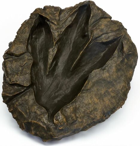 VEOJEIN Large Jurassic Dinosaur Footprint Fossil Replica – Realistic Resin Track Cast, Prehistoric Fossil Stone Décor Ancient Gift, Catch-All Tray for Keys Coins Jewelry – Shelf Decor 10.5" x 9.3" in Saudi Arabia