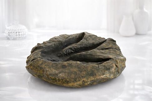 VEOJEIN Large Jurassic Dinosaur Footprint Fossil Replica – Realistic Resin Track Cast, Prehistoric Fossil Stone Décor Ancient Gift, Catch-All Tray for Keys Coins Jewelry – Shelf Decor 10.5" x 9.3" in Saudi Arabia