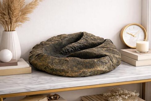 VEOJEIN Large Jurassic Dinosaur Footprint Fossil Replica – Realistic Resin Track Cast, Prehistoric Fossil Stone Décor Ancient Gift, Catch-All Tray for Keys Coins Jewelry – Shelf Decor 10.5" x 9.3" in Saudi Arabia
